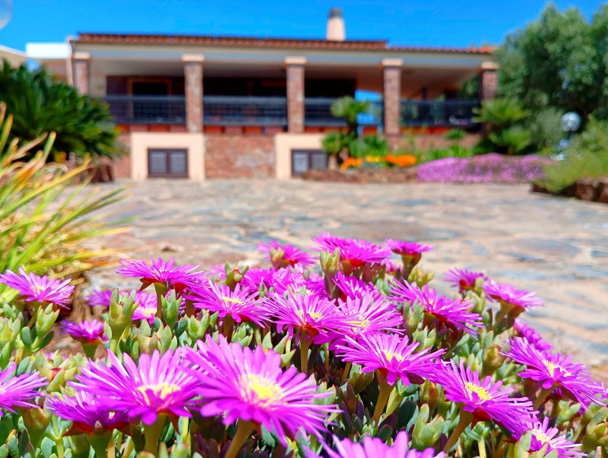 Alghero Villa Barranch With Sea View Swimming Pool For 6 People Extérieur photo